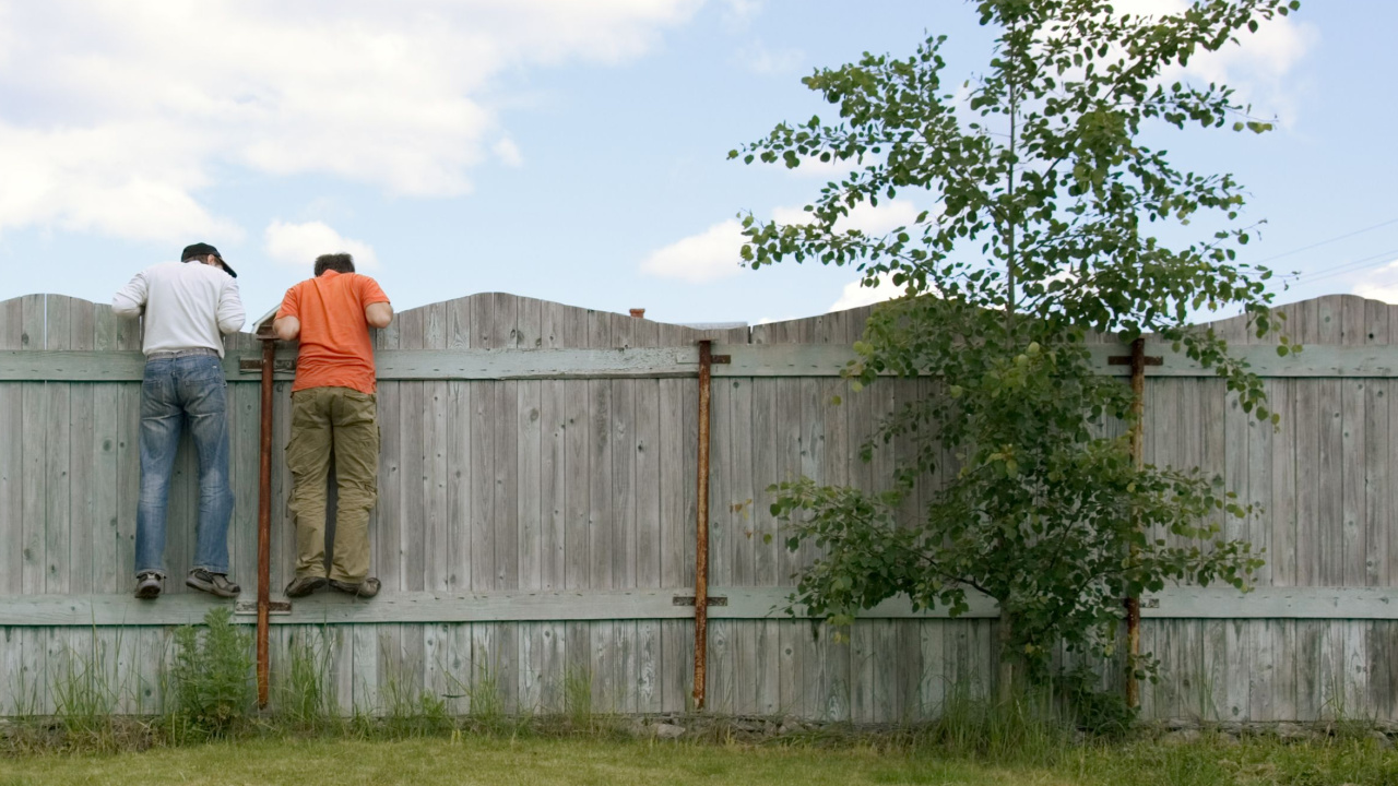 two men peeking over a fence | should I do marketing on Mastodon?